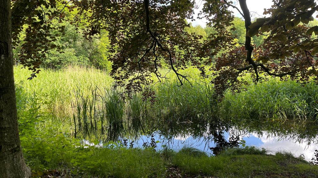 Foto: De Gracht van Beesd baart de Buurtvereniging Hulshorst zorgen