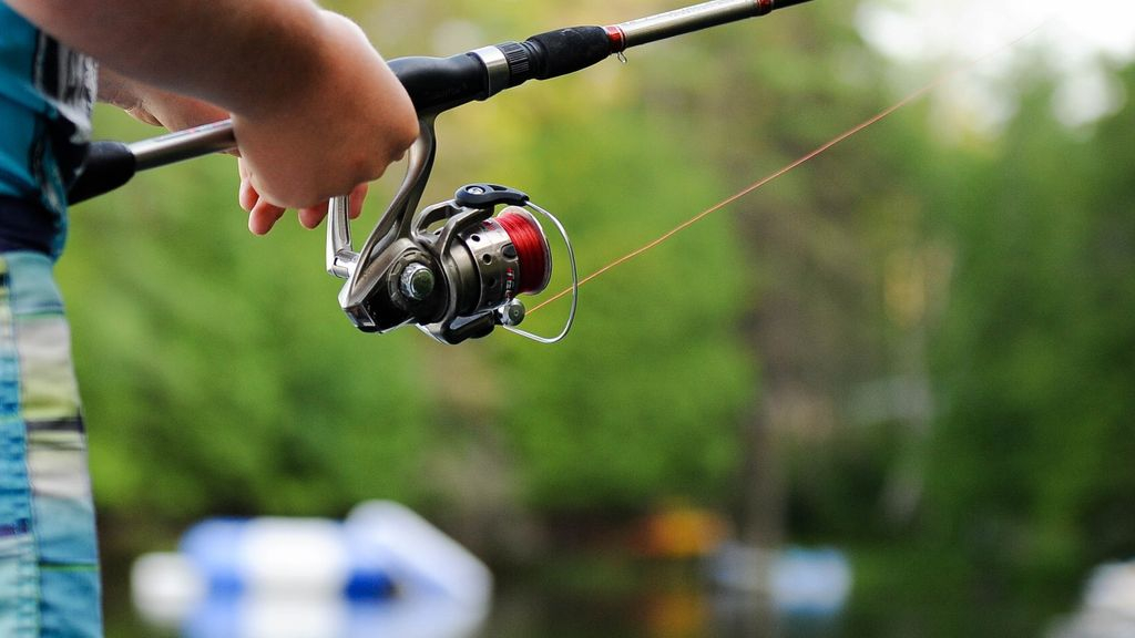 Foto: Visles voor leerlingen van groep 7/8 van Bassischool de Veste