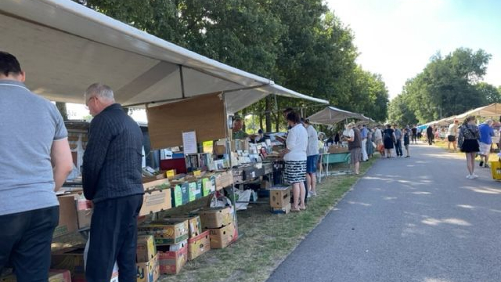 Foto: Elspeetse boekenmarkt een publiekstrekker