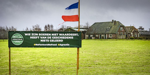 Foto: Stikstofsoap: provincie trekt vergunningen in, maar zegt meteen sorry