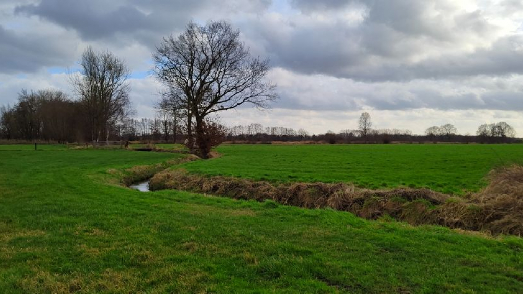 Foto: CDA Nijkerk beschermt Slichtenhorst