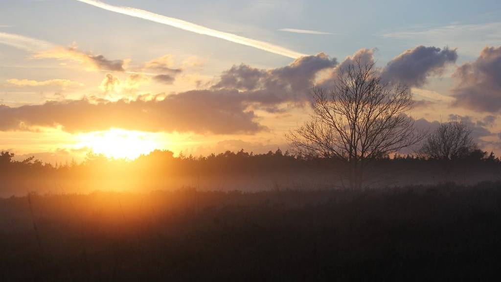 Foto: Subsidie voor tours om natuurkennis te vergroten