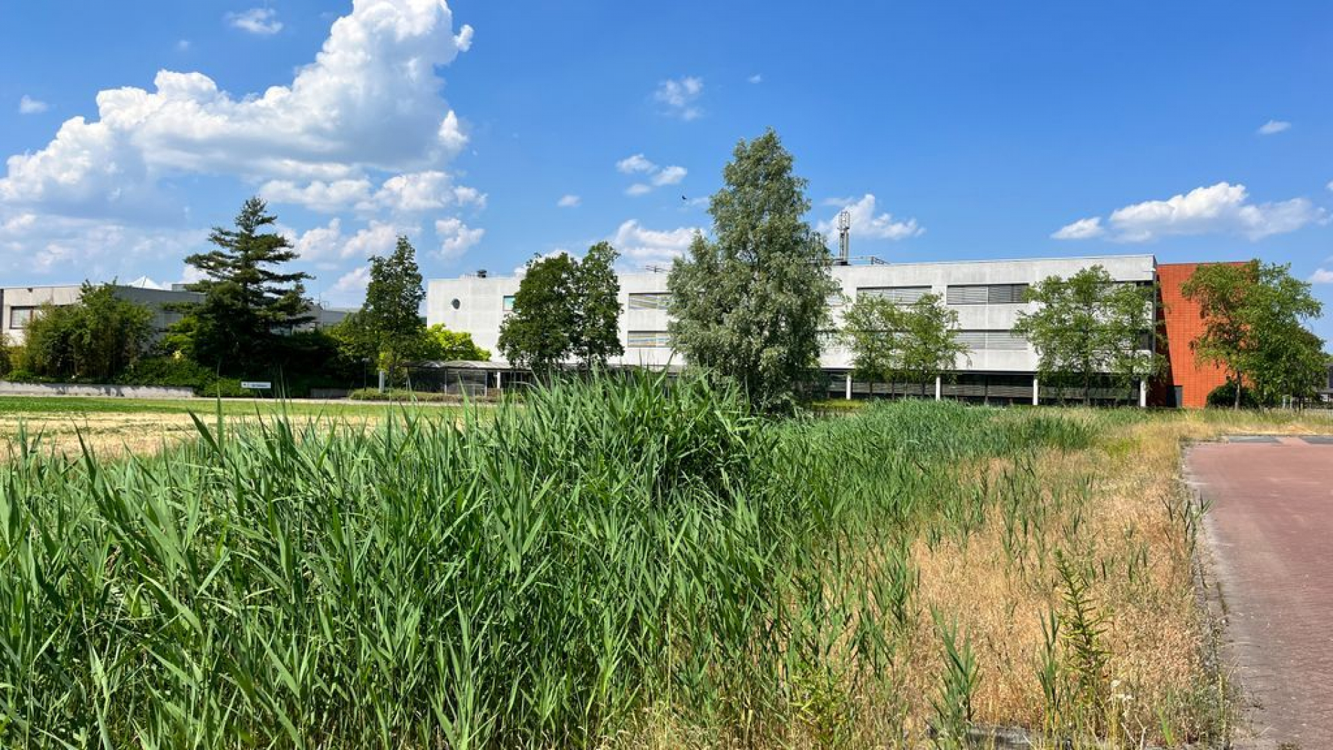 Foto: College beantwoord vragen De Lokale Partij