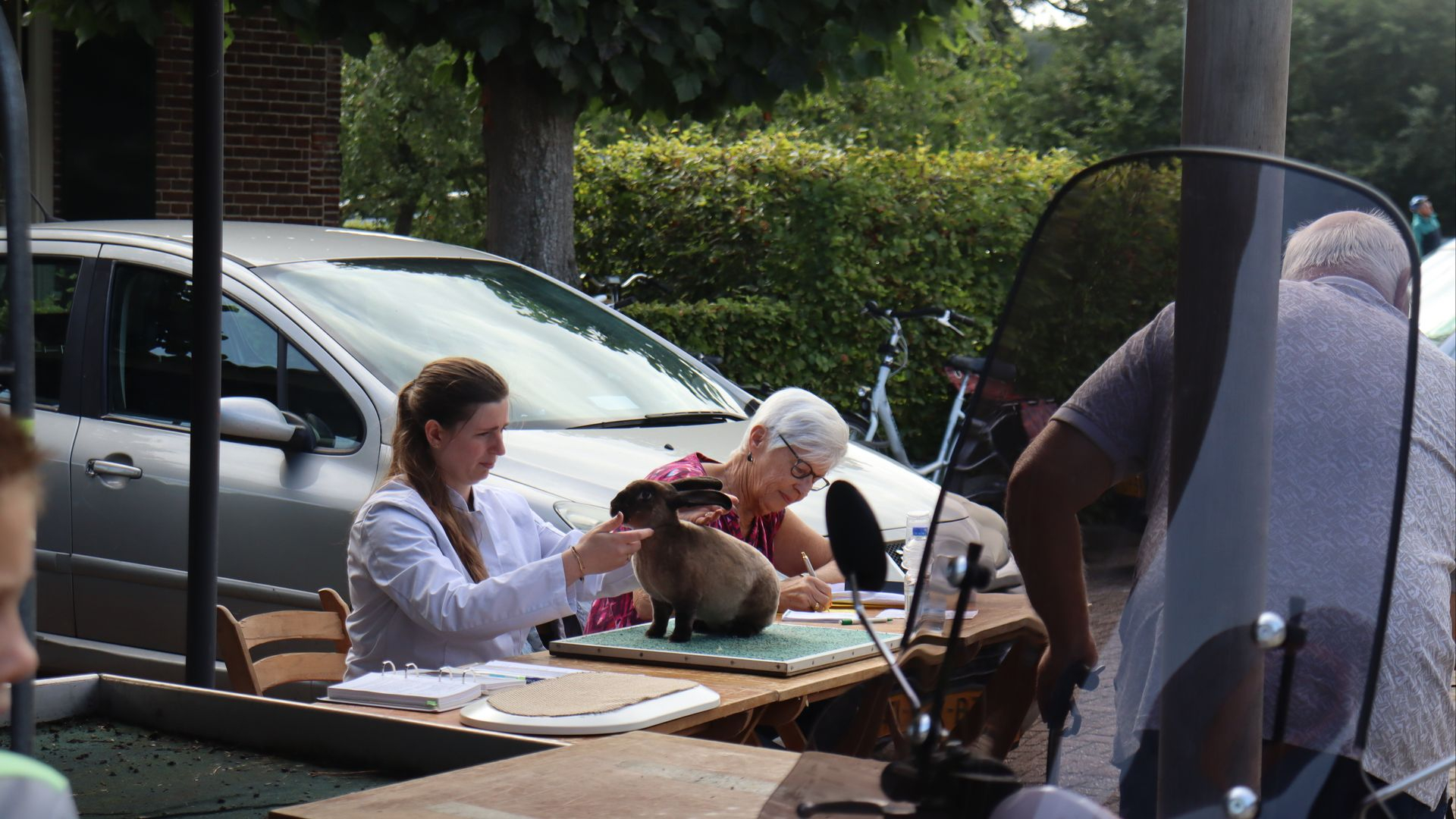 Foto: Kleindiervereniging “Ons Ideaal” organiseert Jongdierendag