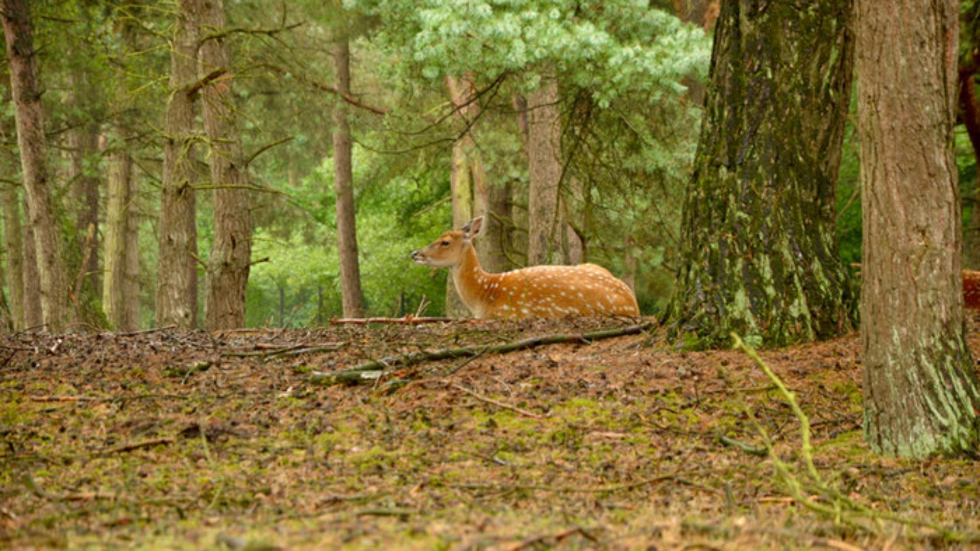 Foto: Activiteiten Blits en Chill Out in oktober