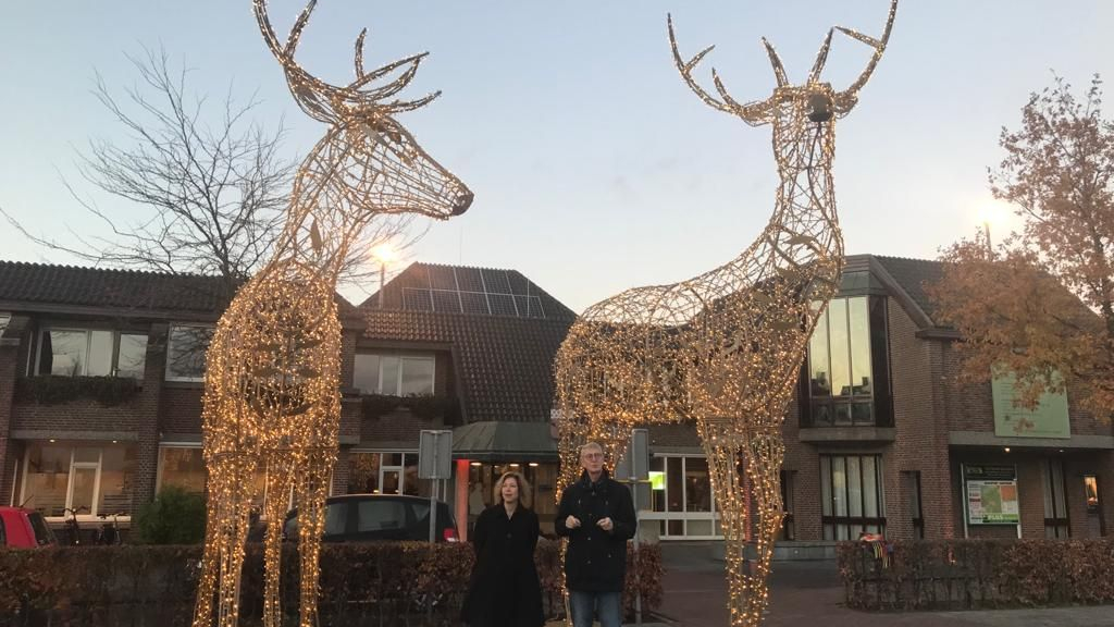 Foto: Iconische herten schitteren weer op het Marktplein