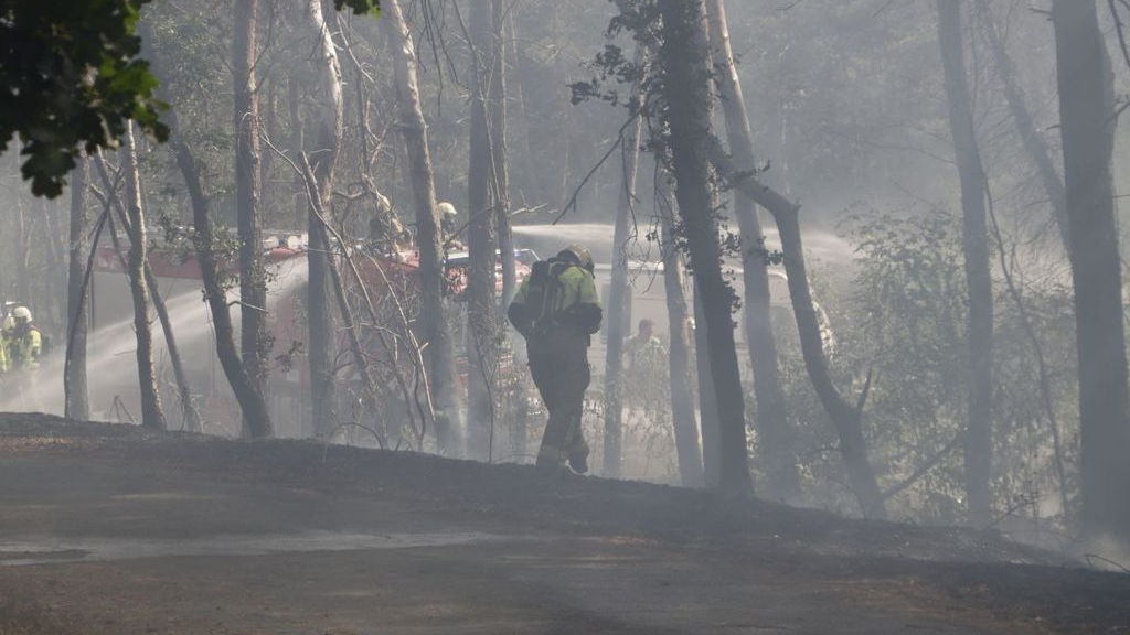 Foto: Brandweer rukt massaal uit naar bosbrand A28 nabij Hulshorst