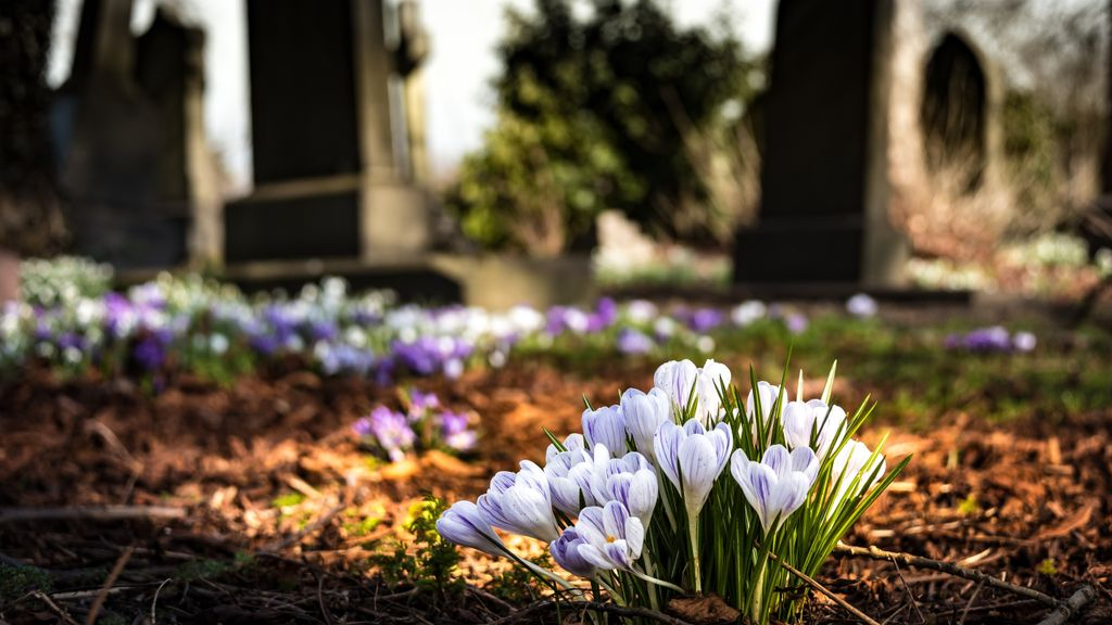 Foto: Begraafplaats Elzenhof wordt uitgebreid