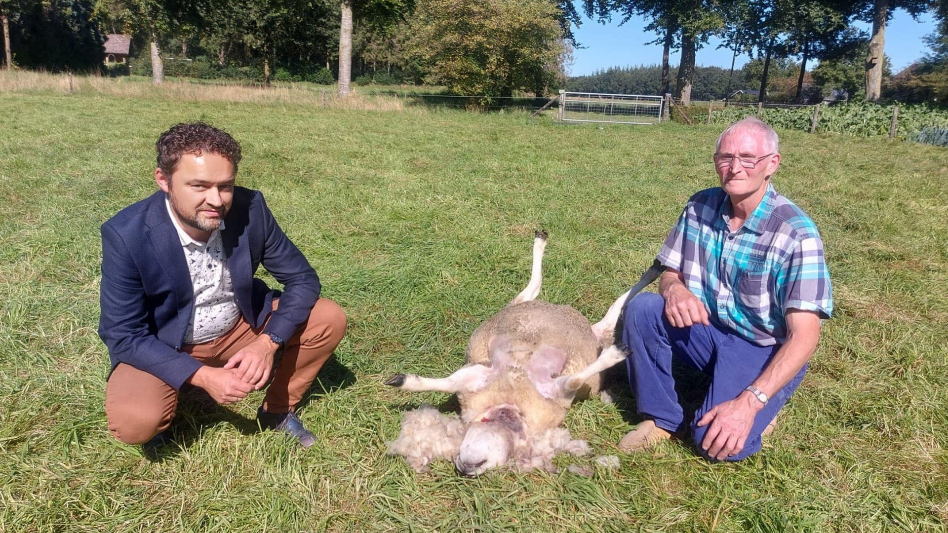 Foto: Gemeentebestuur Nunspeet bezorgd over schade door wolven