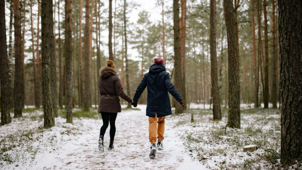 Foto: Vakantieparken op de Veluwe erg gewild in kerstvakantie