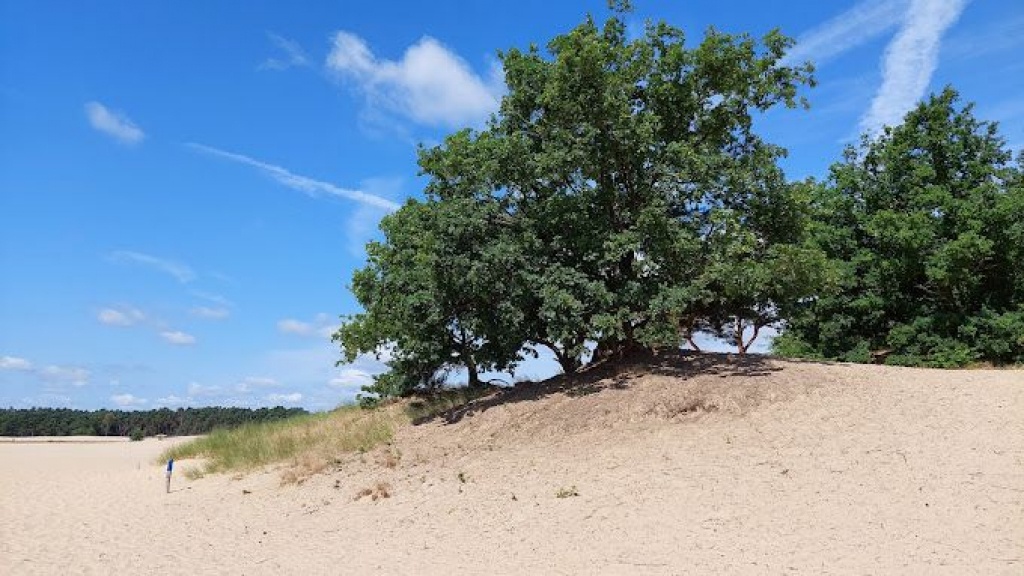 Foto: Veranderingen rondom natuurgebied De Haere