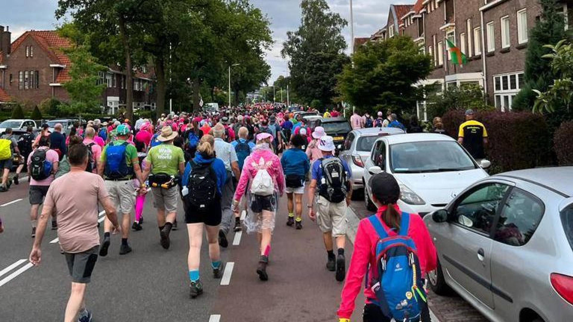 Foto: Alles ziet roze tijdens de tweede wandeldag van de Nijmeegse 4Daagse