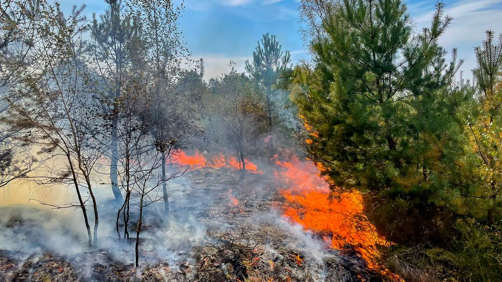 Foto: 112-nieuws: brandende vrachtwagen op knooppunt Grijsoord • man bevrijd uit modder