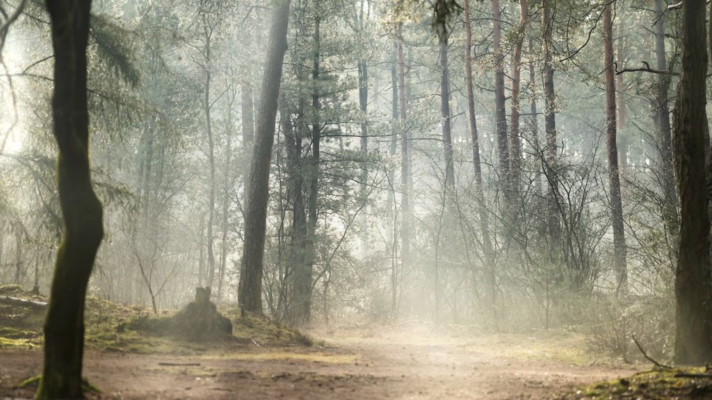 Foto: Wolf en natuur staan centraal bij thema-avond ChristenUnie