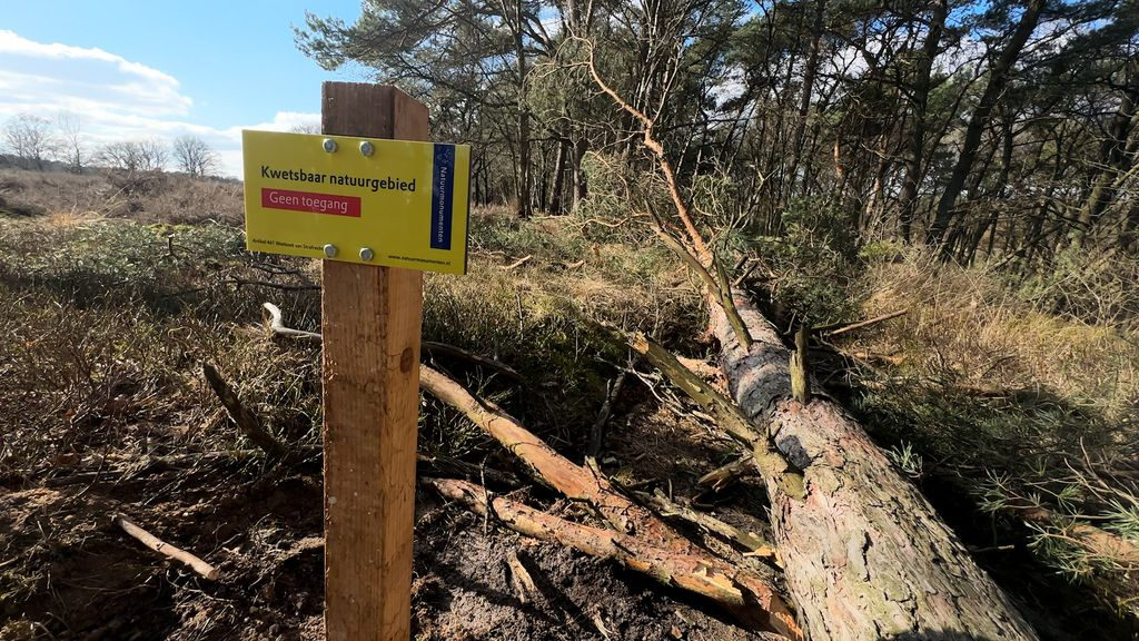 Foto: Provincie sluit wandelpaden af om de natuur te beschermen