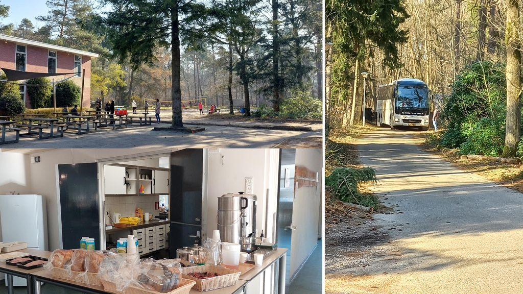 Foto: Ook Oekraïense katten vinden opvangadres in Oldebroek