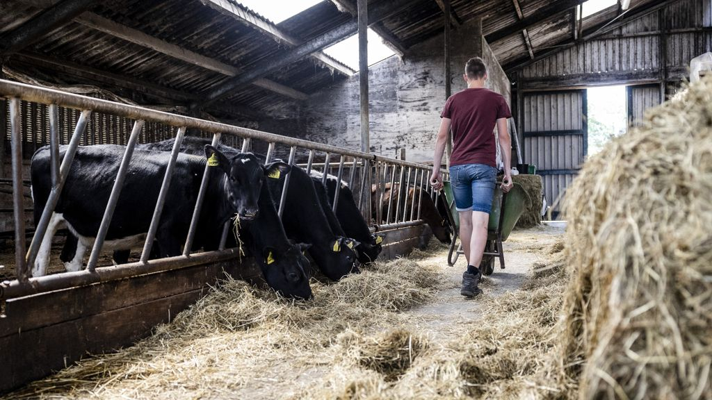 Foto: Vertrouwen van boeren in politiek brokkelt verder af