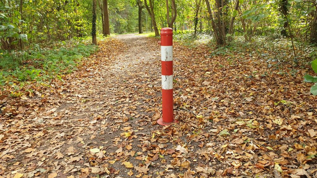 Foto: Meer dan de helft van de fietspaaltjes in gemeente Harderwijk worden weggehaald
