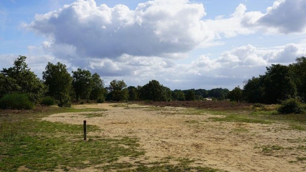 Foto: Provincie wil 'status aparte' voor Veluwe in stikstofcrisis