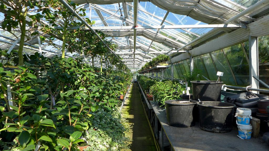 Foto: Kwekerij in Hulshorst mag uitbreiden, geen verstoring van de natuur