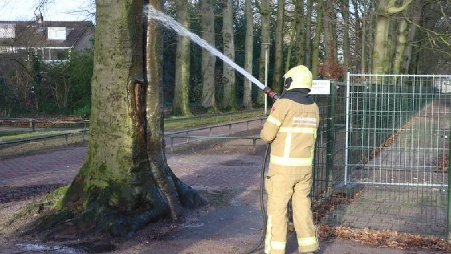 Foto: Inwendige boombrand snel geblust