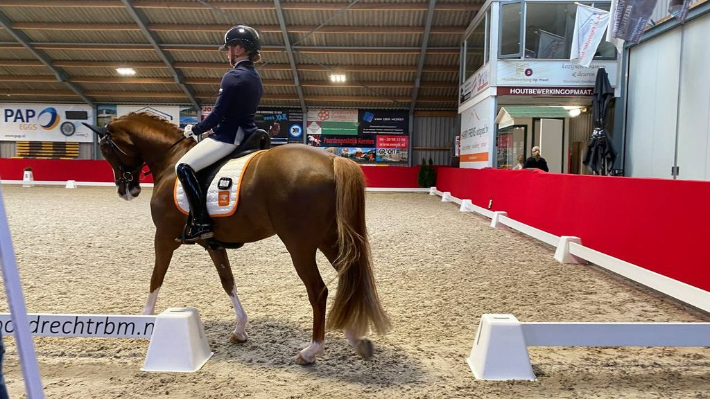 Foto: Gelders Indoor Kampioenschap dressuur pony’s bij de Wezenlanden