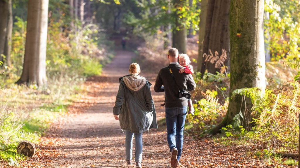 Foto: Warm begin van de herfst in aantocht