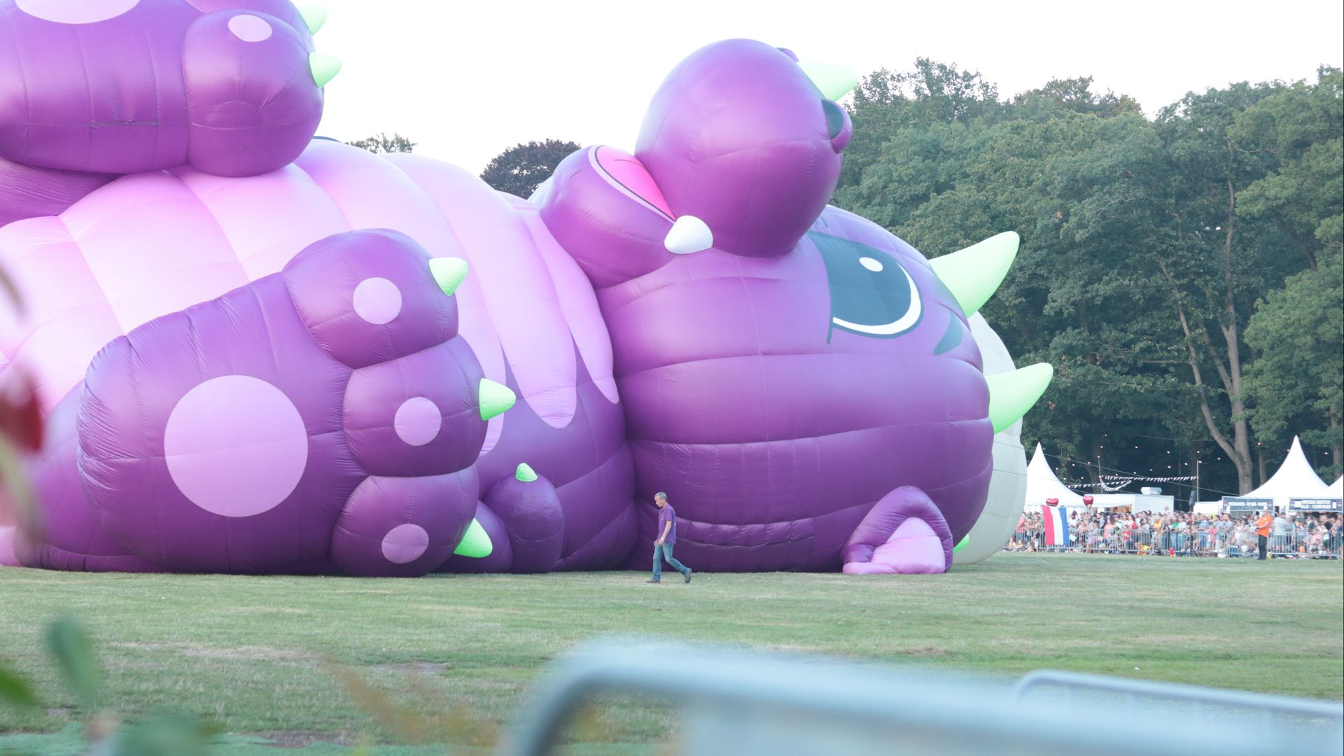 Foto: Ballonfiësta in beeld