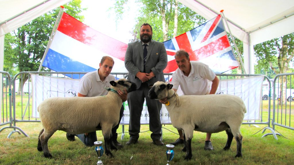Foto: Ooi Opal van de Trippenmaeker Hulshorst kampioen