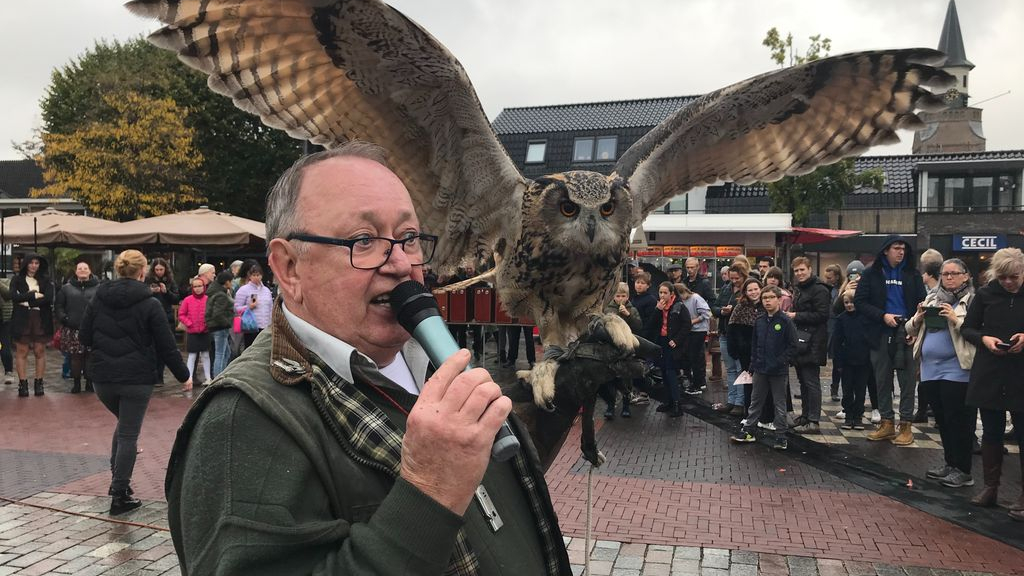 Foto: Roofvogelshow op de najaarsmarkt maakt indruk