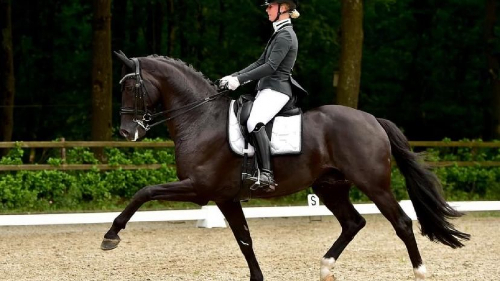 Foto: Kringkampioenen Nunspeetse Rijvereniging gehuldigd