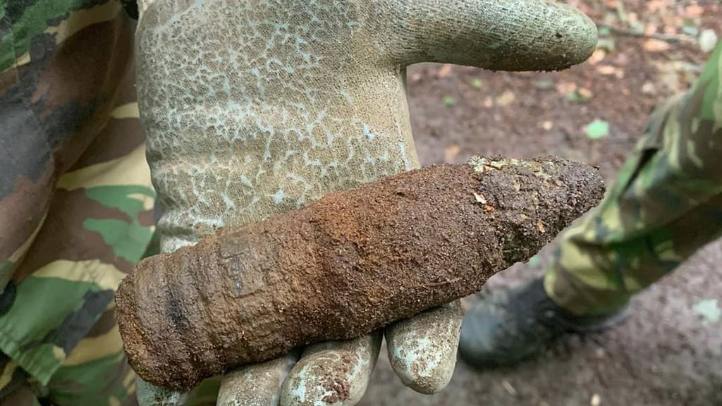 Foto: Granaat in de bossen van Ermelo