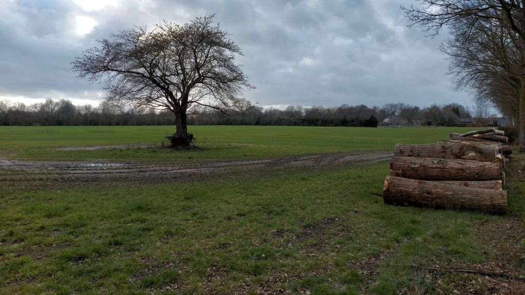 Foto: Plannen Kijktuinen vastgesteld
