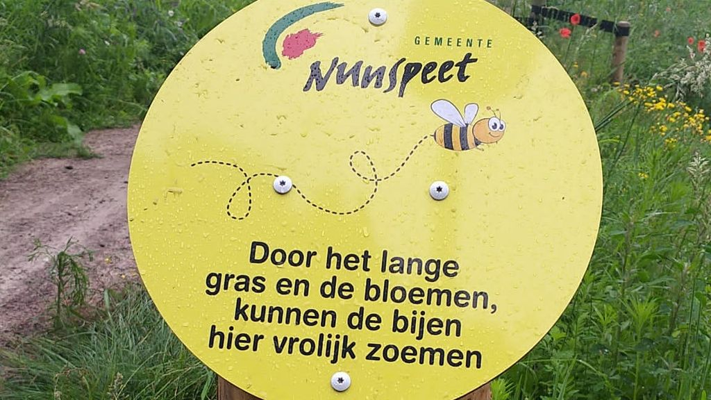 Foto: Nunspeet een bij-vriendelijke gemeente