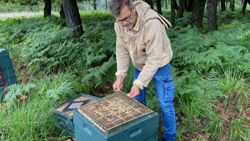 Foto: Jacob Bouw wil de zwarte bij redden