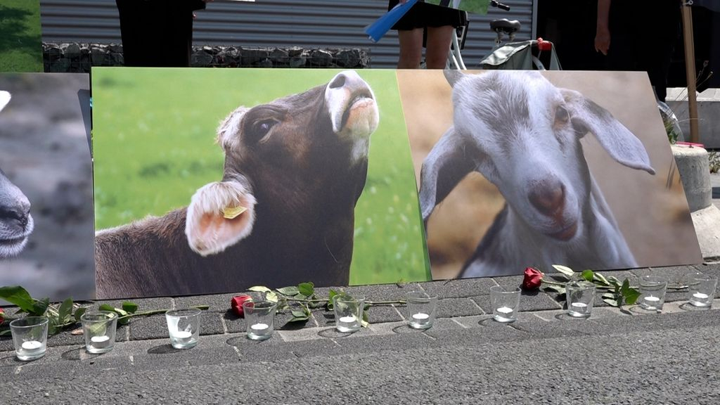 Foto: Stil protest bij slachthuis: 'Offerfeest is niet van deze tijd'