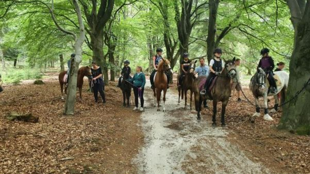 Foto: Leden Klein maar Dapper genieten van ponykamp