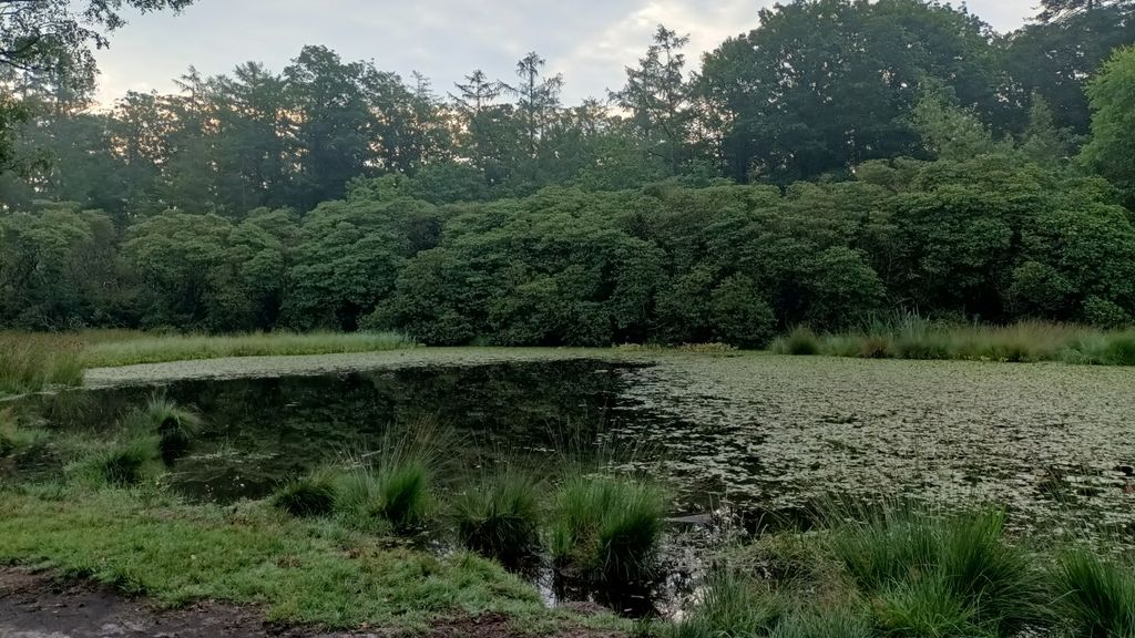 Foto: Staatsbosbeheer reageert op herstelwerk rondom voormalige Ronde Huis