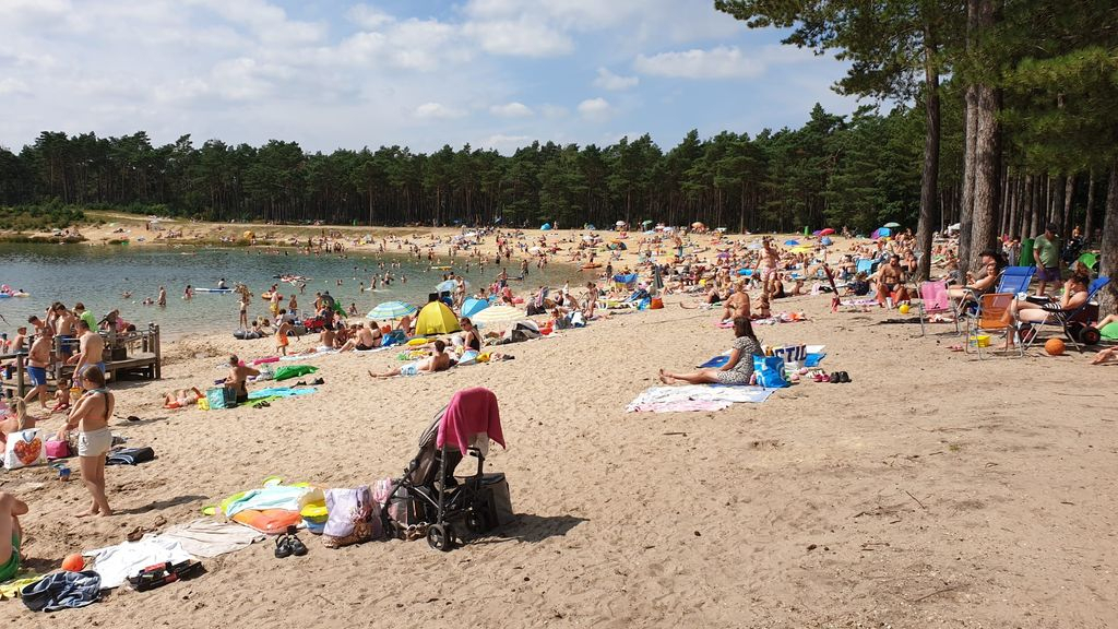 Foto: Drukte op de Zandeplas: Slagbomen dicht voor verkeer