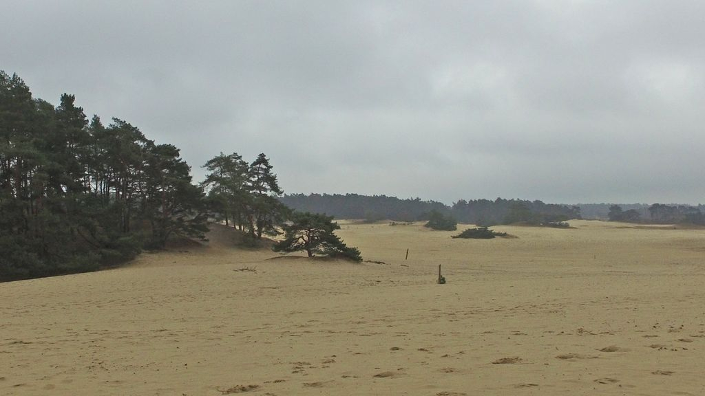 Foto: Overeenstemming korter broedseizoen Hulshorsterzand