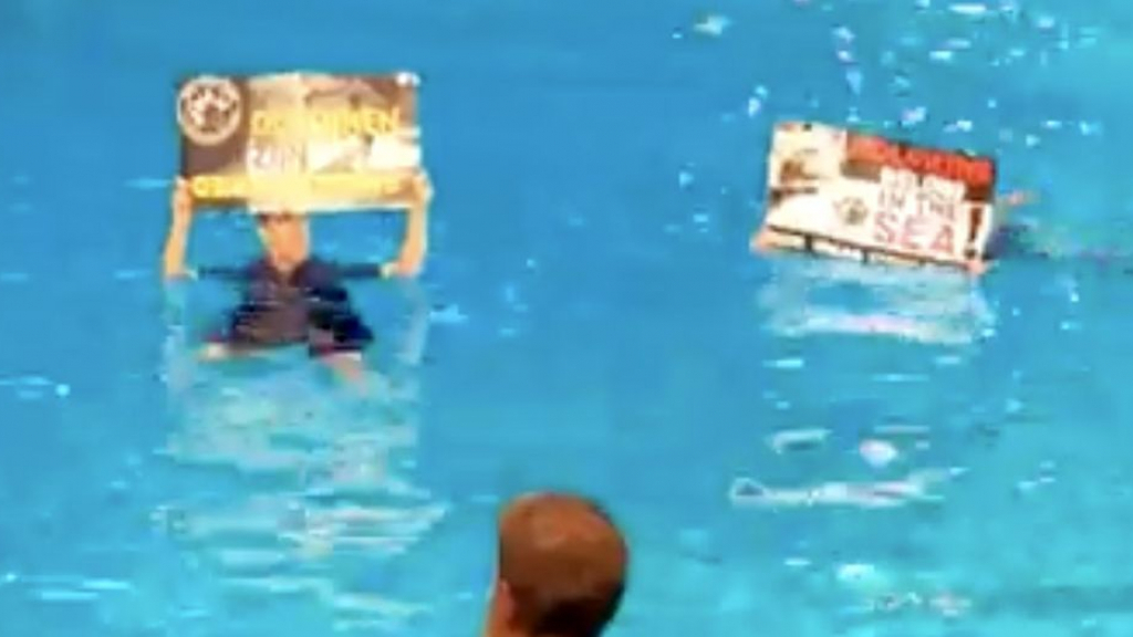 Foto: Actievoerders verstoren voorstelling Dolfinarium