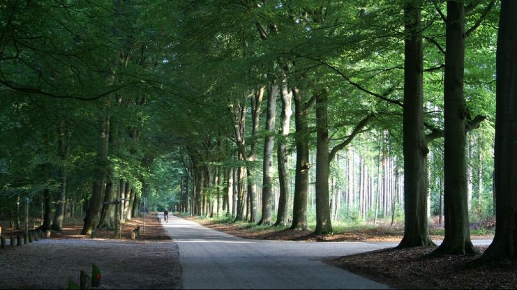 Foto: Nieuwe visie voor landgoed Hulshorst