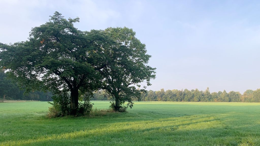 Foto: College positief over pilot ‘woningen met lage energie-aansluiting’