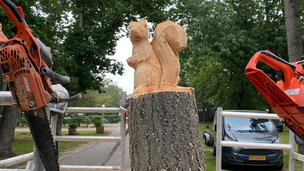 Foto: Rik maakt van bomen kunstwerken