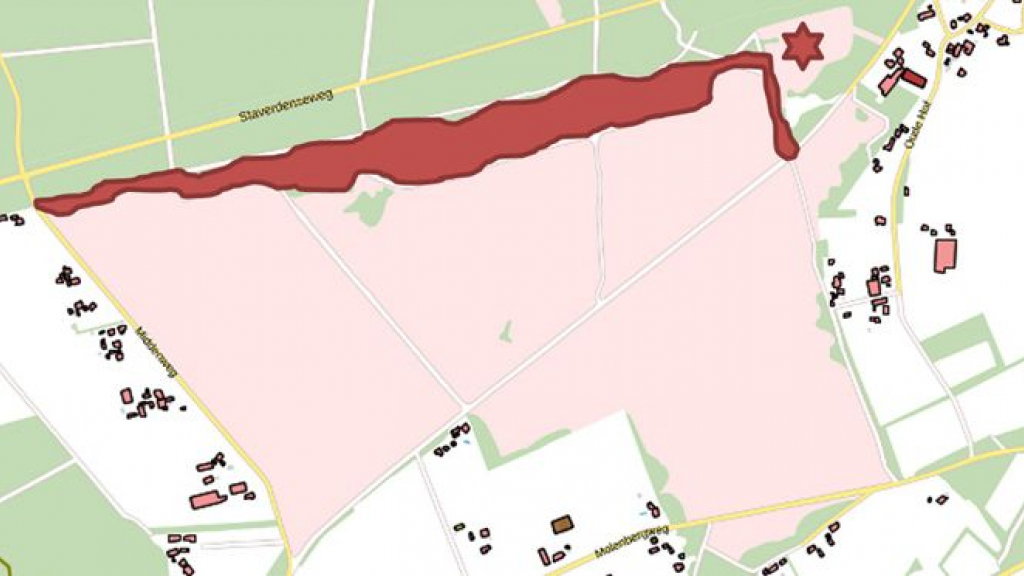 Foto: Gemeente werkt aan natuurherstel op de Kleine Kolonie heide