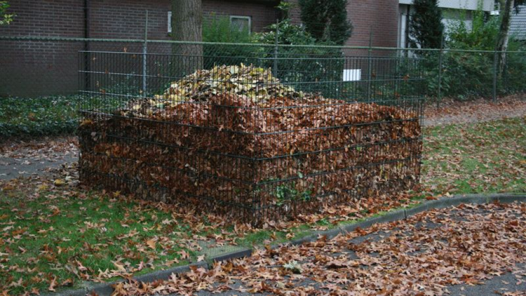 Foto: Gemeente plaatst tachtig bladkorven voor bladafval
