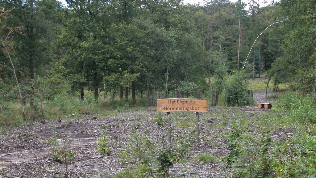 Foto: Nieuw herinneringsbos bij natuurbegraafplaats in Elspeet