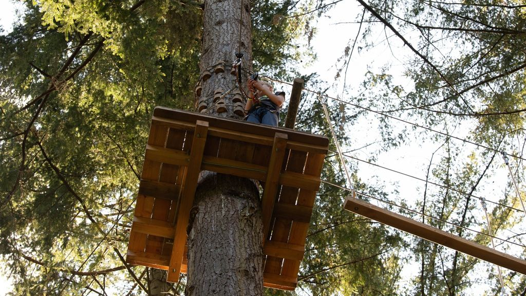 Foto: Vergunning voor klimbos een stap dichterbij