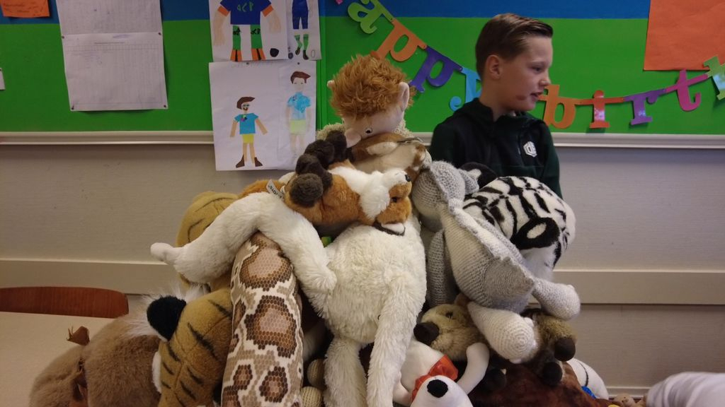 Foto: Leerlingen nemen honderden dierenknuffels mee voor de wedstrijd op school
