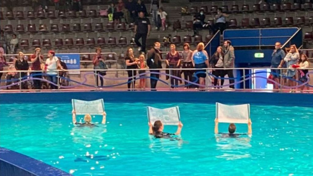 Foto: Dolfijnenshow opnieuw verstoord door activisten, vegan streaker opgepakt